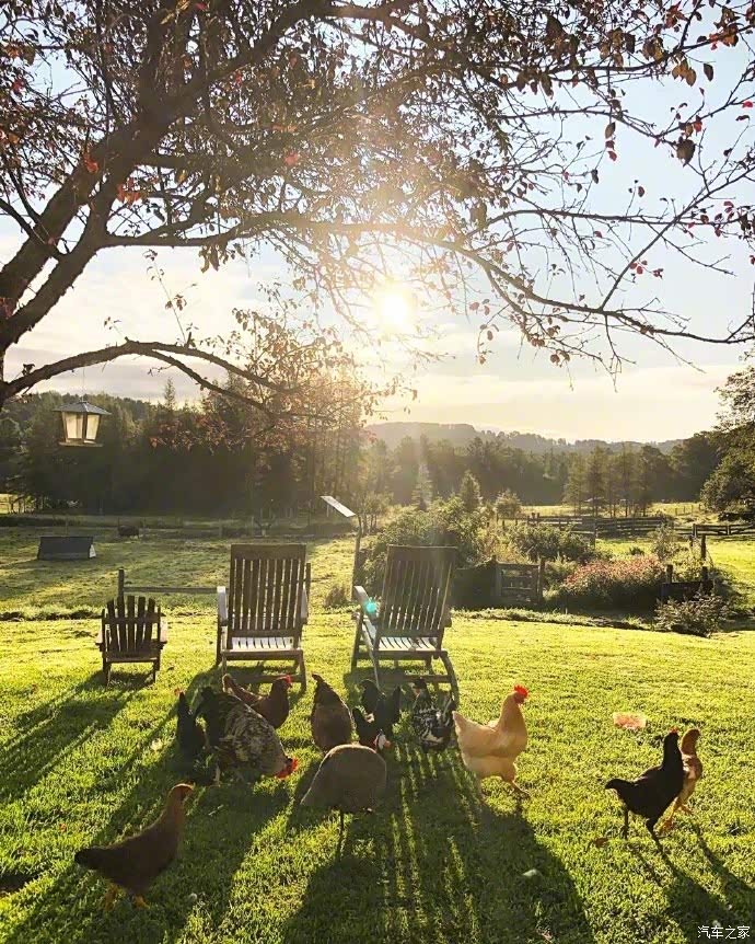 阳光与草原,多么美好的田园生活.