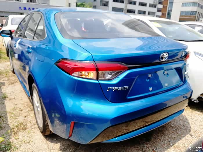 提新蓝色雷凌混动豪华版往后余生陪我风风雨雨