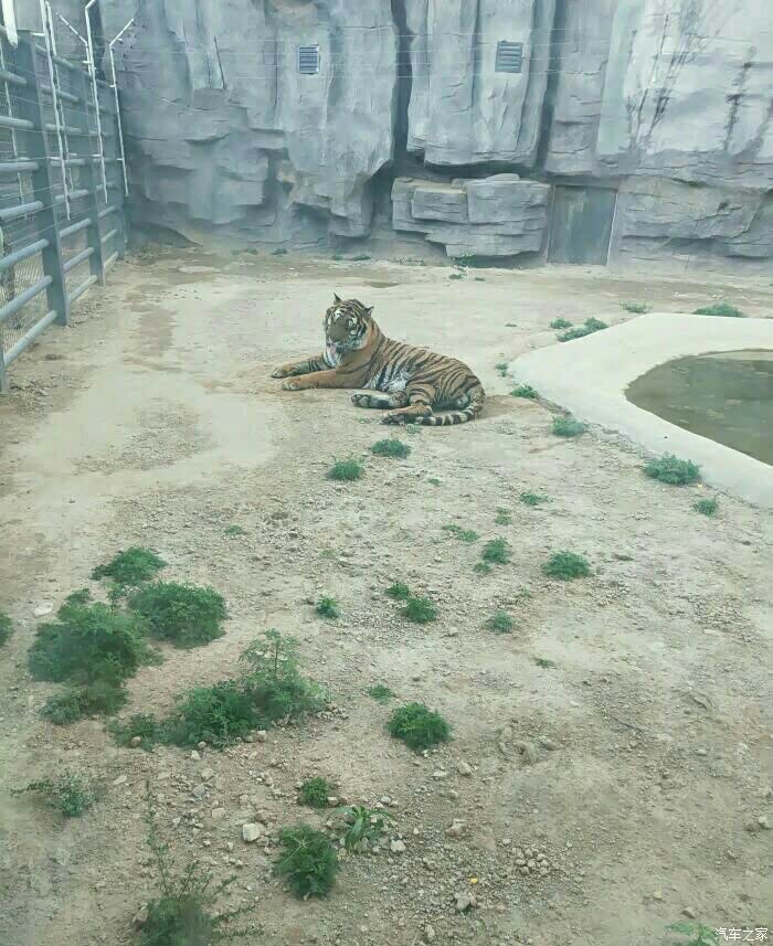 自驾中华v3-佛山野生动物园