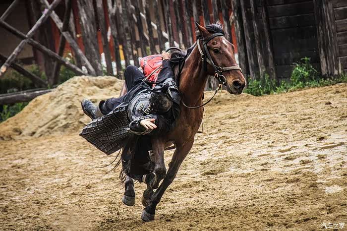 精彩绝伦的皇家巡游魁梧威猛的御林军
