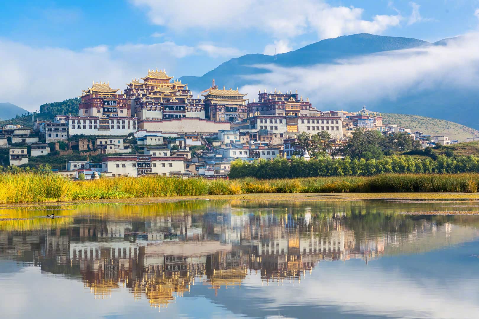 香格里拉位于云南省西北部,青藏高原横断山区腹地,景色秀美.