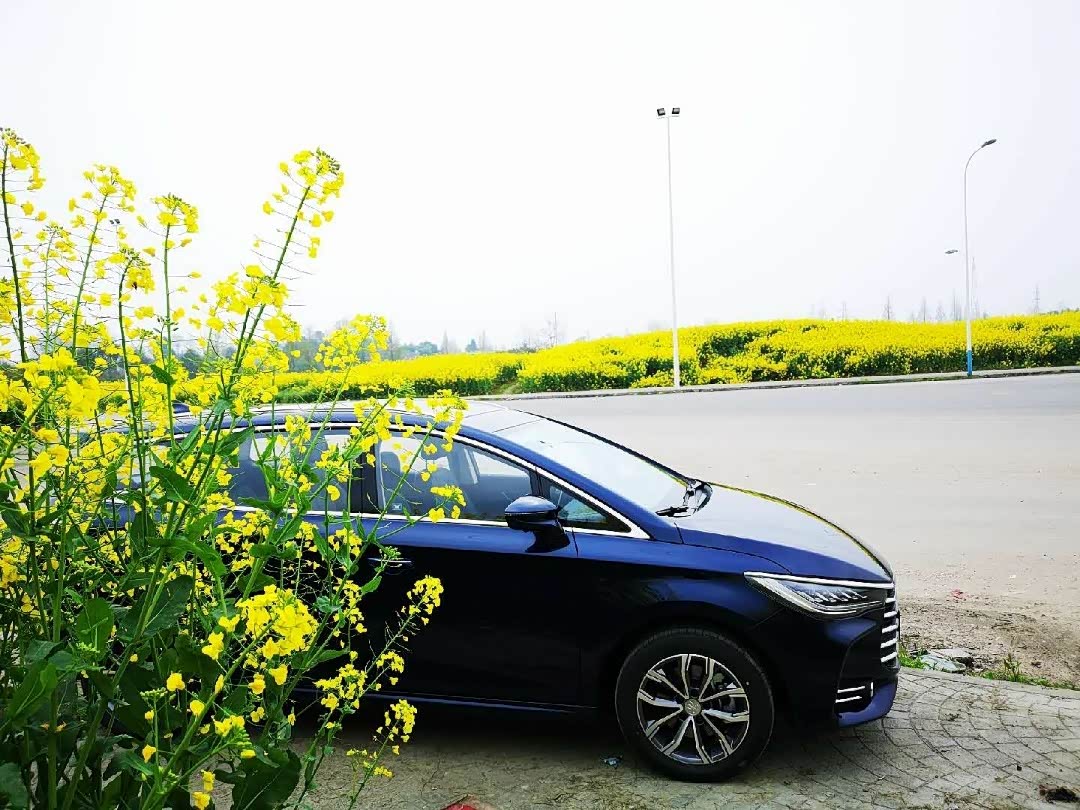 【采花记】好春光不如梦一场(上)