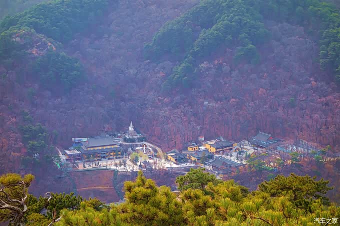 寻找小松鼠之喂松鼠游记自驾铁岭人民公园