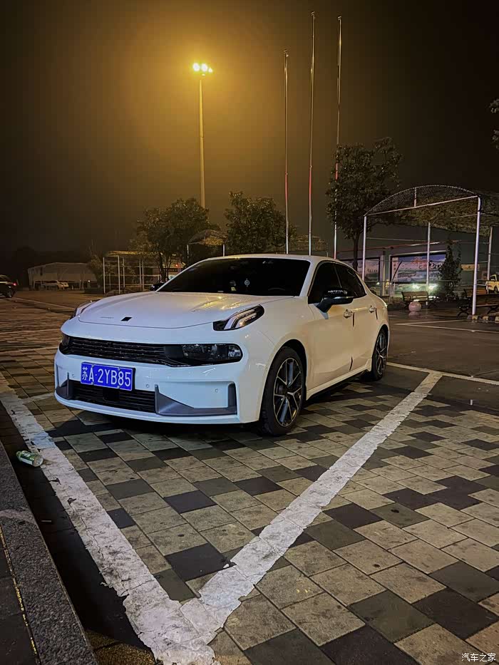 细看诸处好人人道柳腰身lynkco03相识相伴