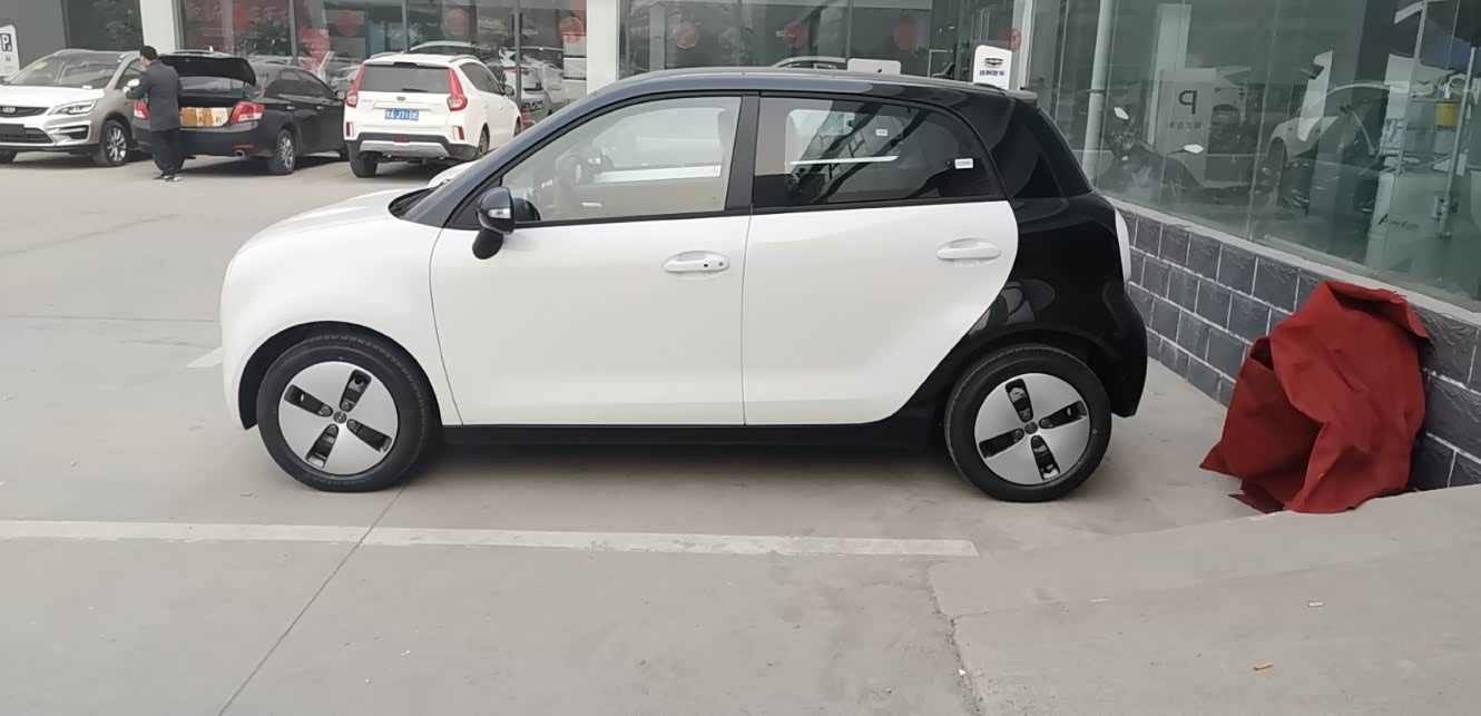 秒提黑白双色欧拉r1