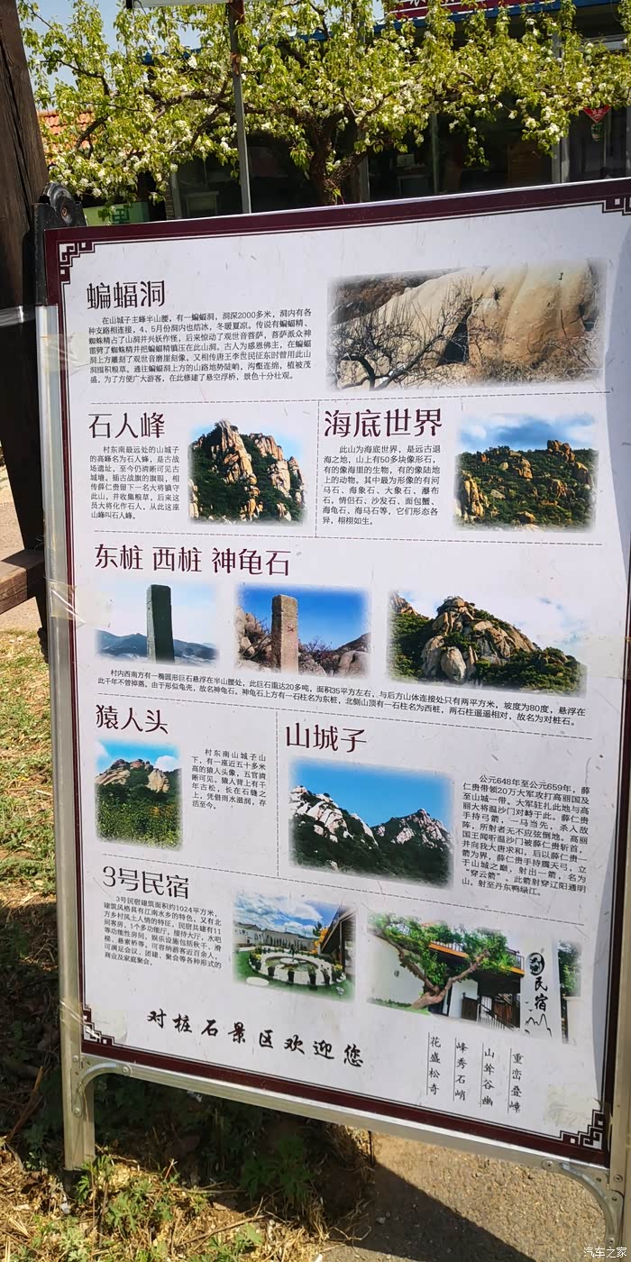 三月初三,鞍山千山梨花