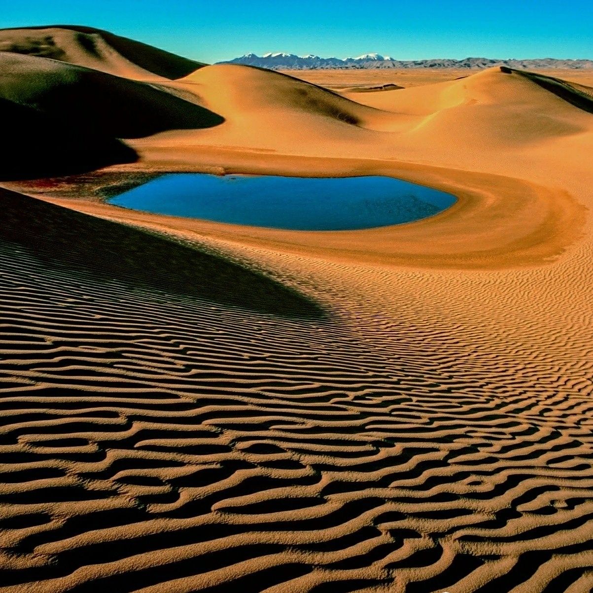 沙漠绿洲 景象图片