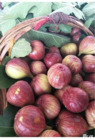 无花果这种水果你们吃过吗