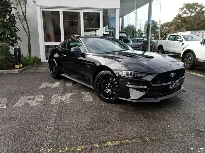 野马到底那种颜色好.