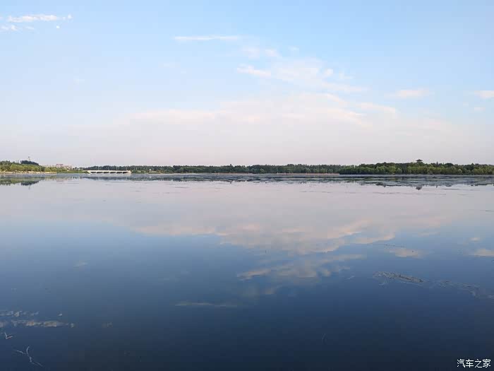 我最红,我是一哥(奕歌)