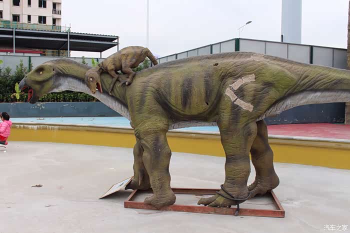 无锡长安suv联盟180恐龙园自驾游