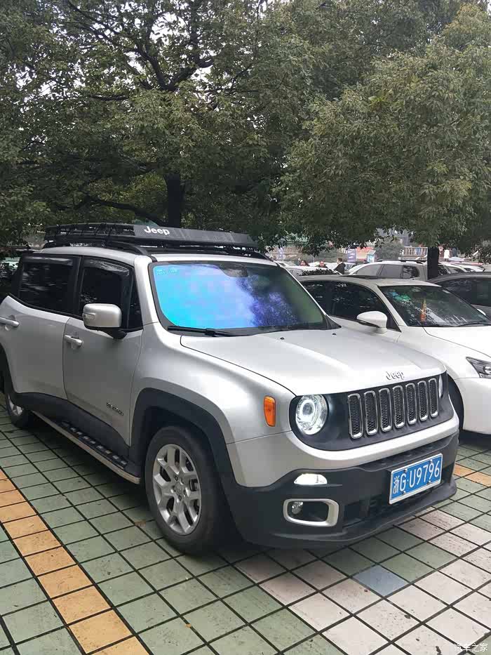 有没有人见过灰色(银色)的自由侠