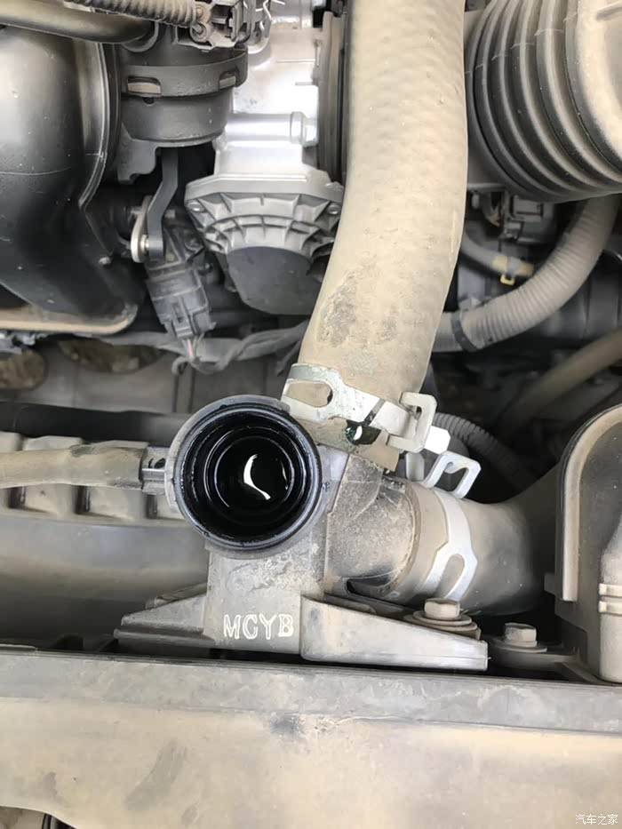 领动防冻液的问题