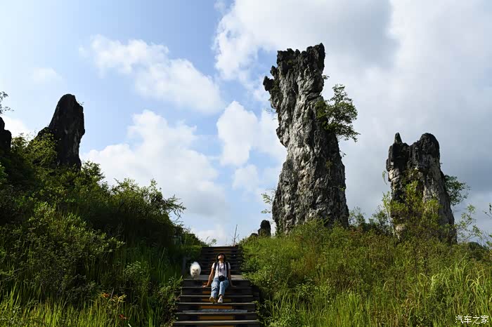 告别2021马邑县故城