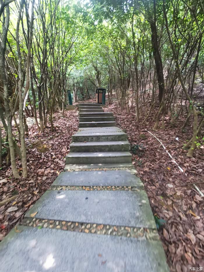 【图】避暑好去处长安郊野公园_逸动论坛_汽车之家论坛