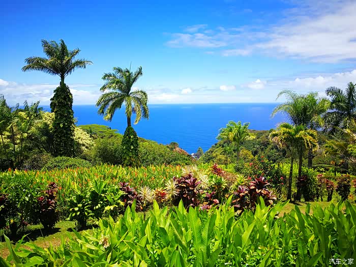 夏威夷maui岛旅行游记