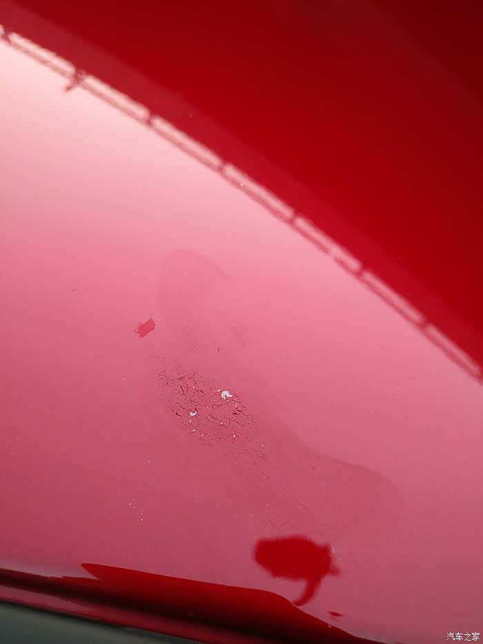 车漆疑似被鸟屎树胶类物质腐蚀龟裂