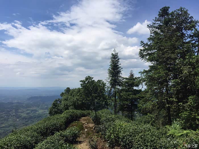 6月25日重庆江津区西湖镇骆来山游玩