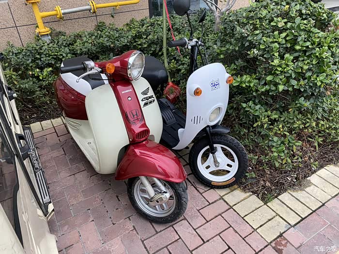 铃木蛋蛋,铃木摩托车