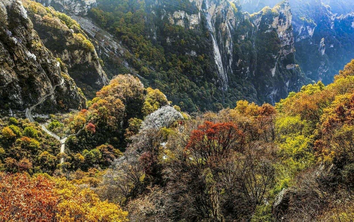 秋天,满山遍野的红桦林铺满白石山的山间,颜色深红如血!