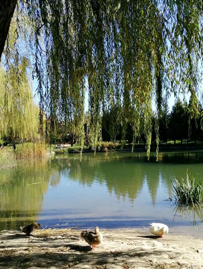 告别2021巴沟山水园