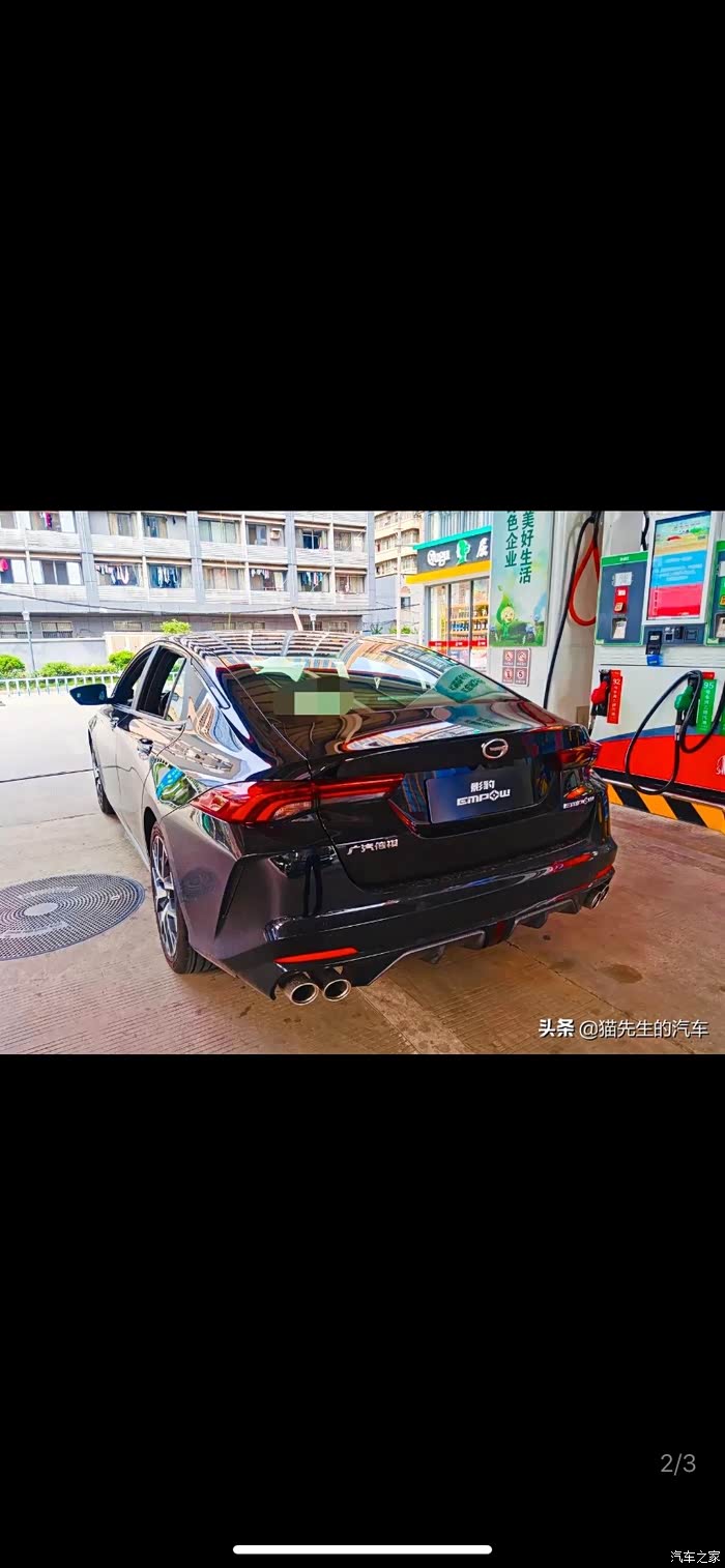 广东为了黑色影豹等待两个月