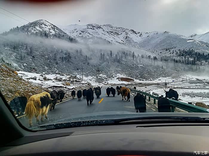 丙察察与317路况