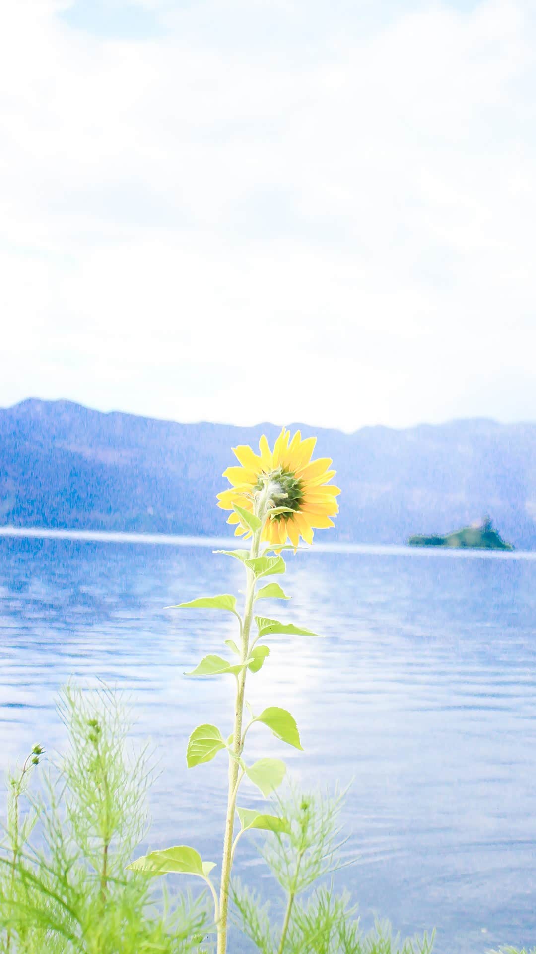旅行要学会随遇而安,淡然一点,走走停停,欣赏身边的风景.