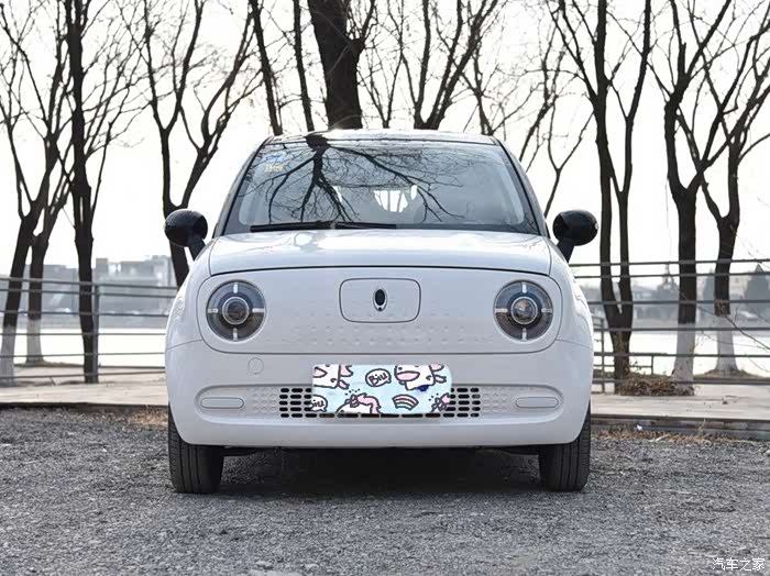 黑白配色的欧拉r1外观非常个性,前脸迷人的眼睛特别有时尚的气息.