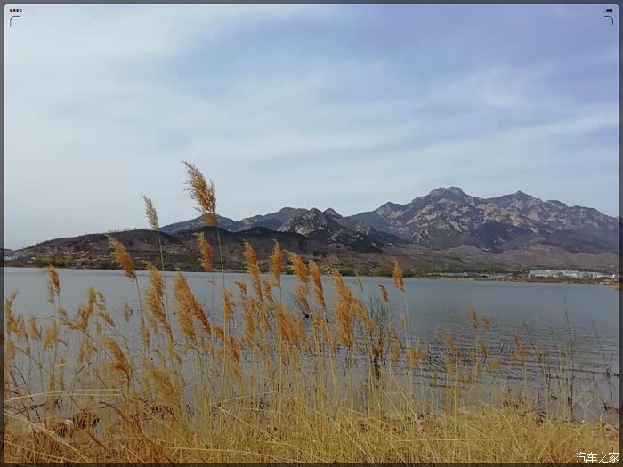 疯子游记积分大放送游泰安安家林水库