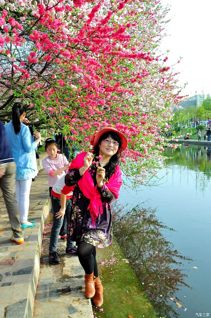 你好2021自驾游踏春赏花之二