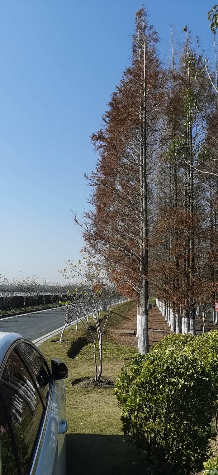 米市渡松南郊野公园半日游