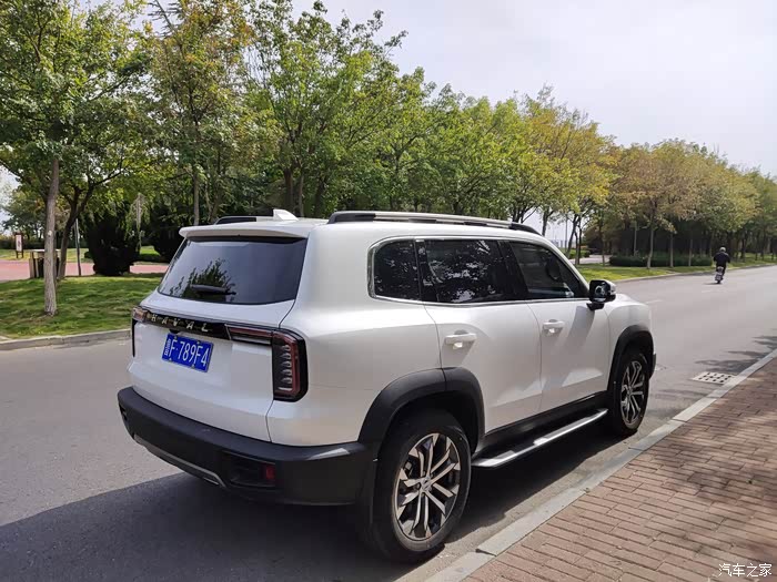 白色是干净大狗是霸气哈弗大狗