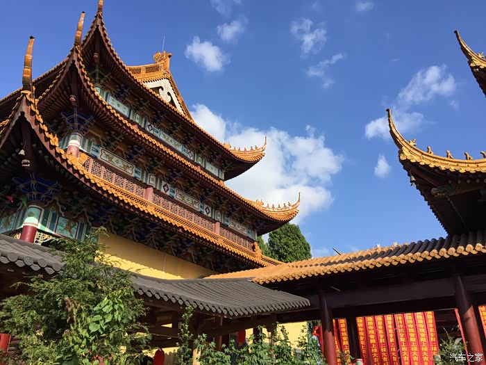 与星途一起台州宝相寺拜佛与黄岩蜜桔产地采摘