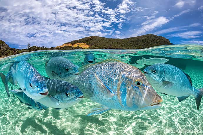 " 掀起海面 ",看海底世界的奇妙