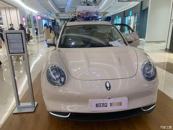 欧拉好猫含蓄优雅偏暖的米色