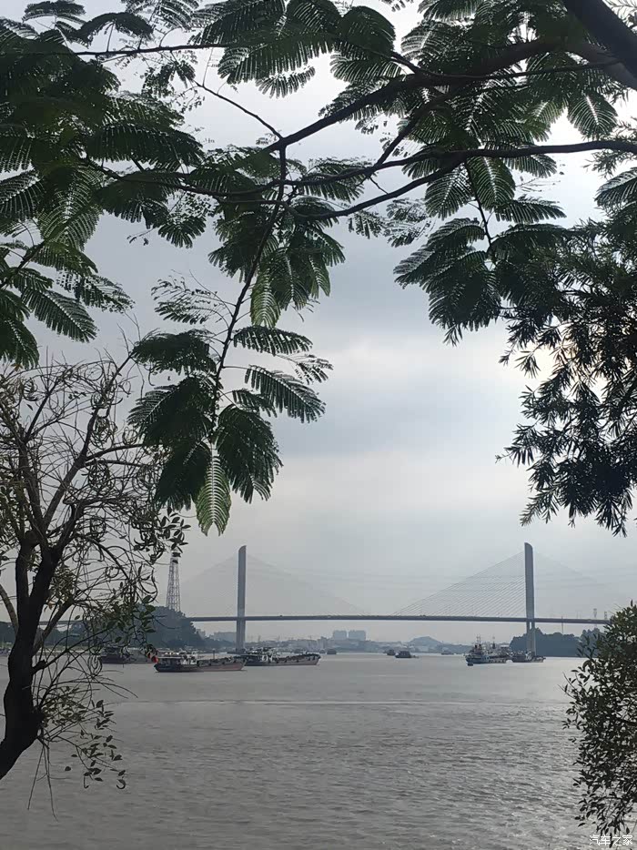 秋高气爽黄埔长洲岛一日游