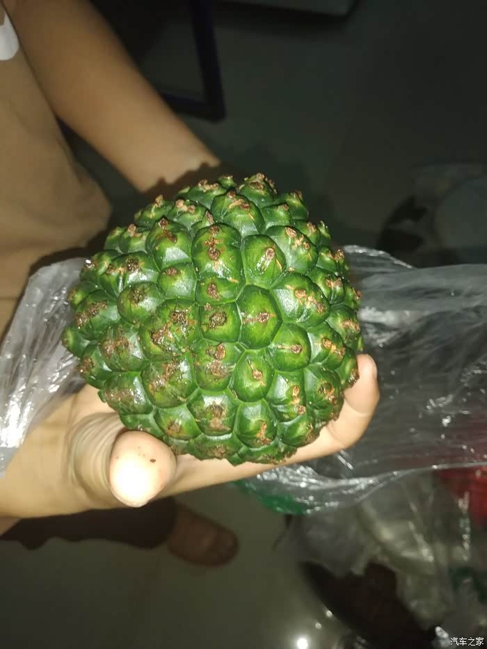 这种很像菠萝的果实是什么据说是桂东地区的凉茶包粽子的