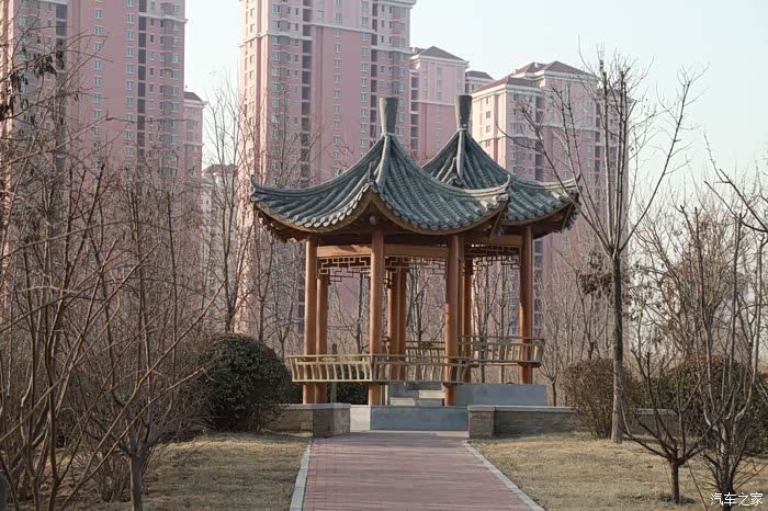 迎着春风的寒意漫步双青公园