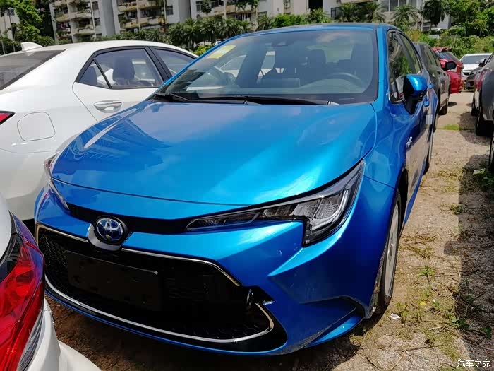 提新蓝色雷凌混动豪华版往后余生陪我风风雨雨