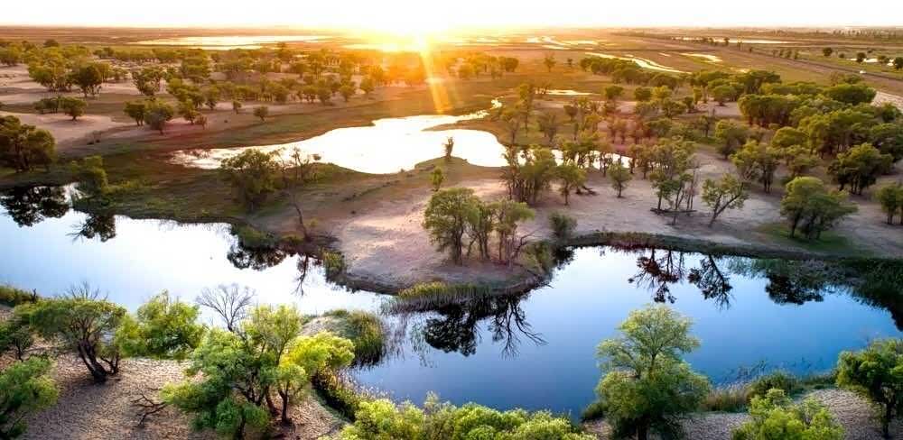 走进内蒙古巴彦淖尔河套平原的壮美