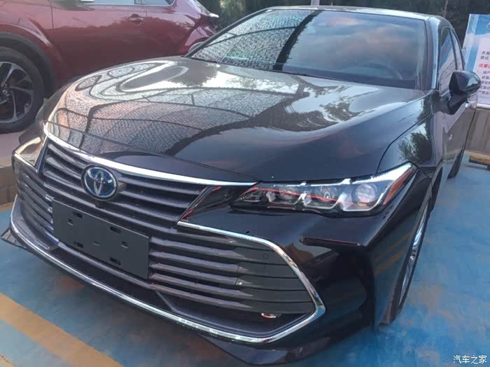 最喜墨渊神尊黑亚洲龙