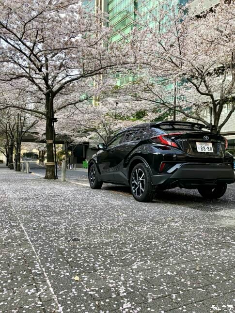 岛国纯正chr黑武士,欣赏!