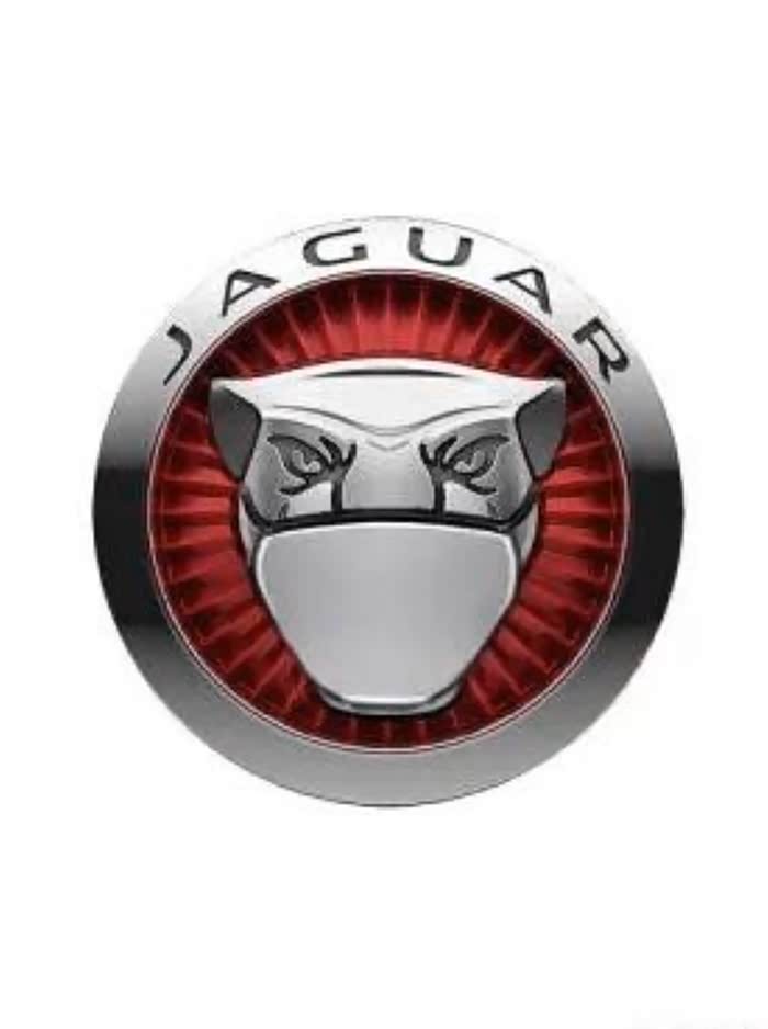 2020款捷豹改新车标了.