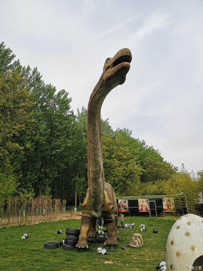 万龙的脖子真的好呀,这是1:1做的吗?好大呀