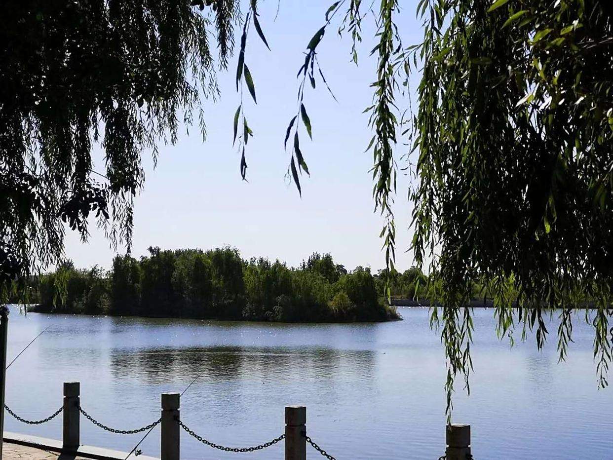 兴县湿地公园图片