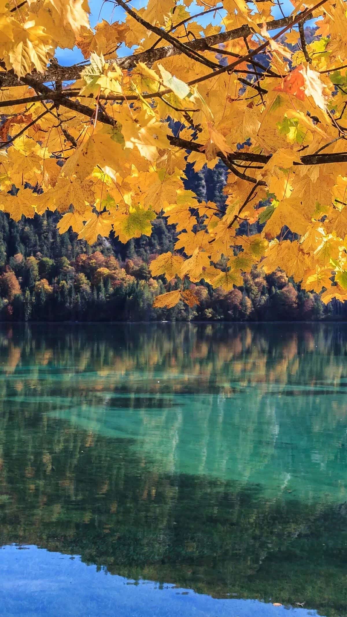 在乎的应该是沿途的风景以及看风景的心情,让心灵去旅行!