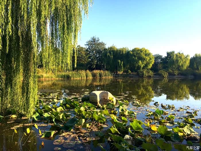秋之韵,周末与小wey游孙禄堂森林公园