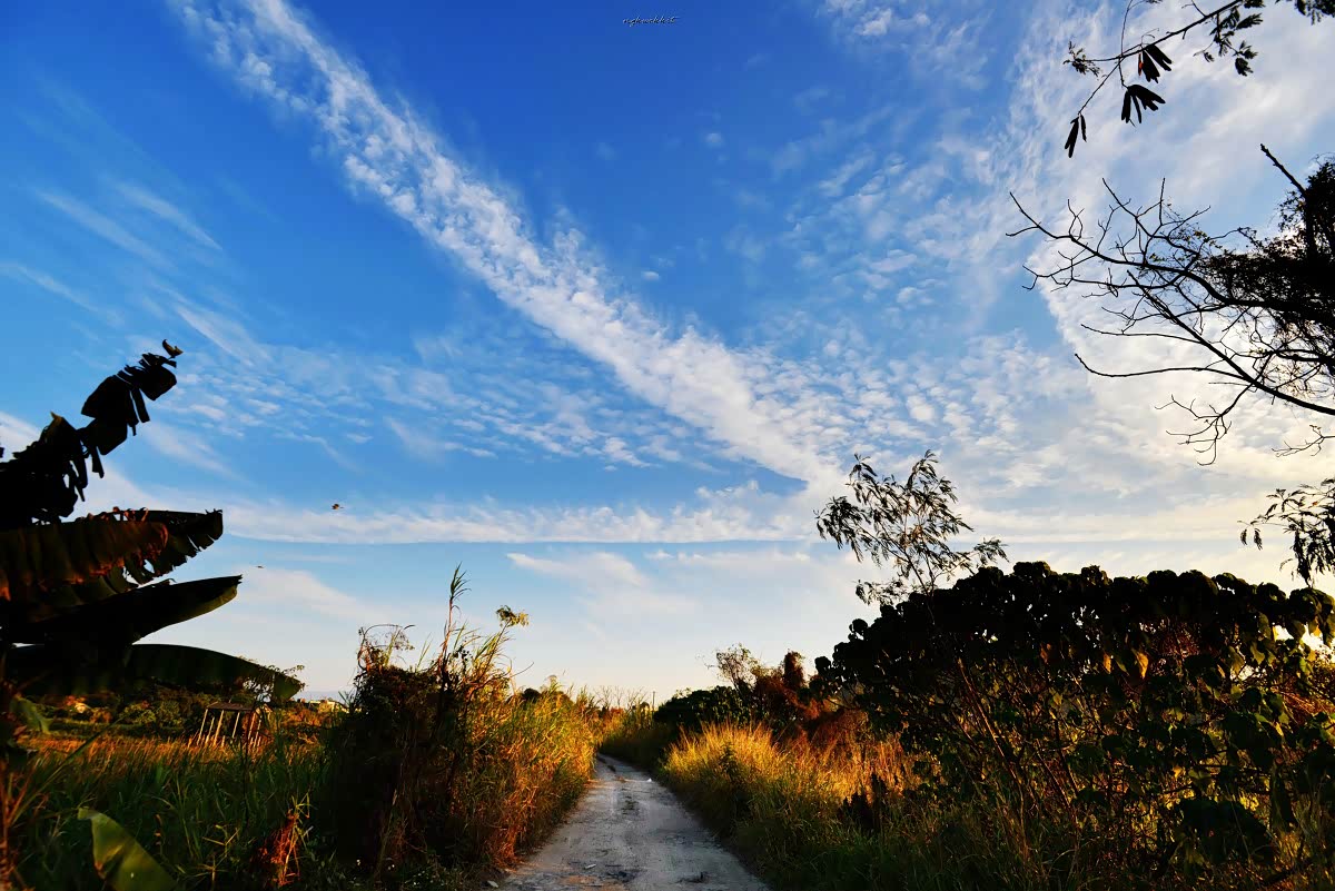 田园郊外小路上 ,带给你惬意的心情 蓝天白云 碧水晴空