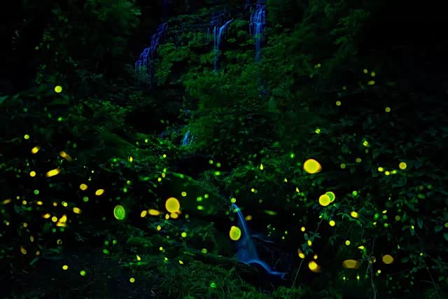 雅安凤凰沟是一个很少人知道的避暑好地方